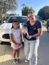 Reunited Male Dog last seen San fernando mission/ sepulveda, Los Angeles, CA 91344
