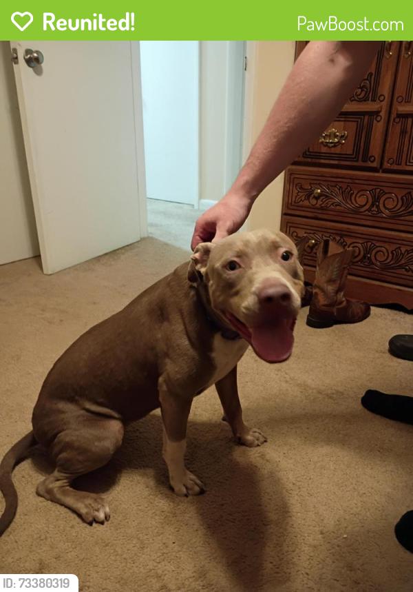 Reunited Female Dog last seen Brocton Rd, Morganton, Fayetteville, NC 28303
