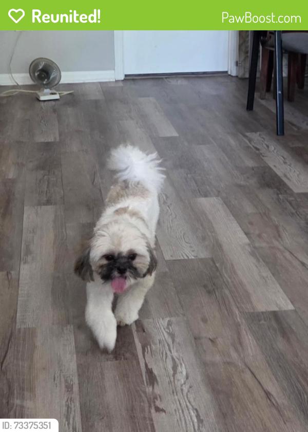 Reunited Female Dog last seen Near S Magnolia, Plainfield, IL 60544