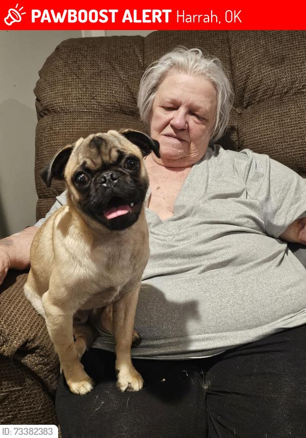 Lost Male Dog last seen Near Road and 1020 Road, Harrah, OK 73045