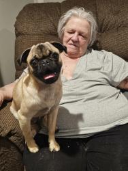 Lost Male Dog last seen Near Road and 1020 Road, Harrah, OK 73045