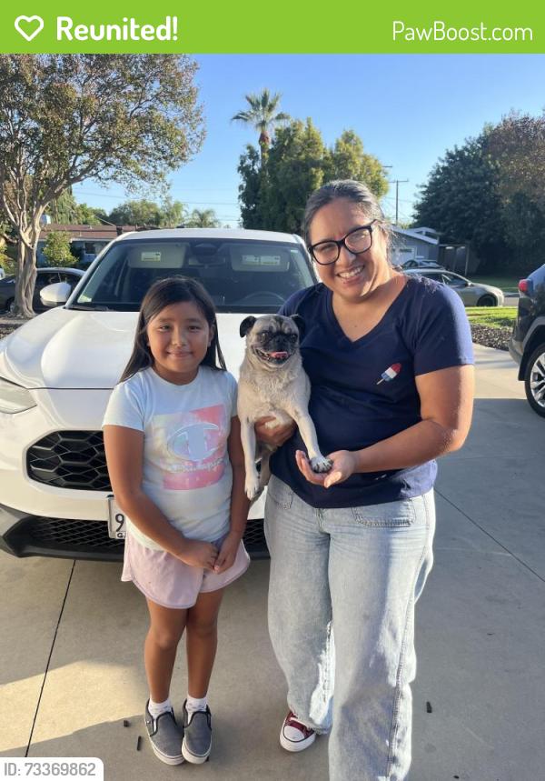 Reunited Male Dog last seen San fernando mission/ sepulveda, Los Angeles, CA 91344