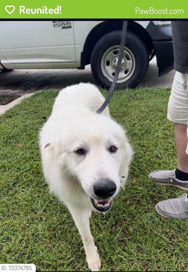 Reunited Unknown Dog last seen Old Spartanburg hwy, Moore, SC 29376