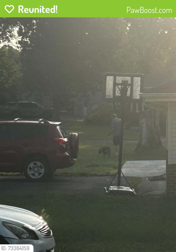 Reunited Female Dog last seen My Place at Old Towne Village, Smyrna, TN 37167