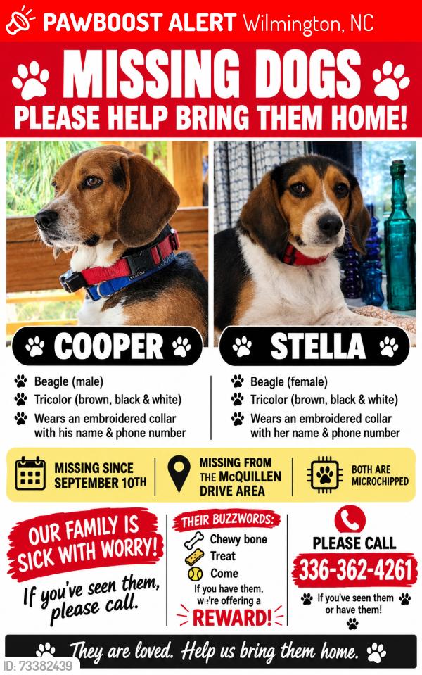 Lost Male Dog last seen Myrtle Grove and hwy 421 (carolina beach rd), Wilmington, NC 28412