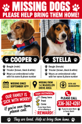 Lost Male Dog last seen Myrtle Grove and hwy 421 (carolina beach rd), Wilmington, NC 28412