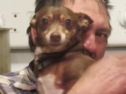 Lost Female Dog last seen Flowerhill and lucas ln, Middlesex, NC 27557