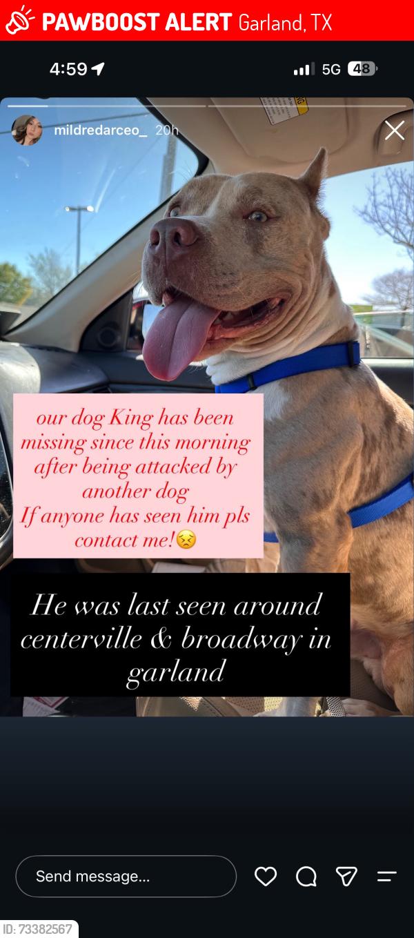 Lost Male Dog last seen Near E Centerville Rd Garland, TX 75041 United States, Garland, TX 75041