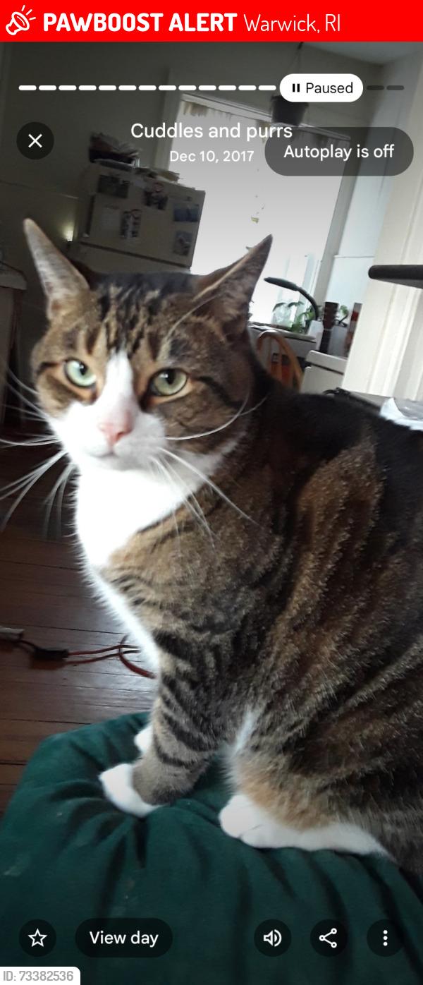 Lost Male Cat last seen Narragansett Pkwy, Canonchet Ave, Warwick, RI 02888, Warwick, RI 02888