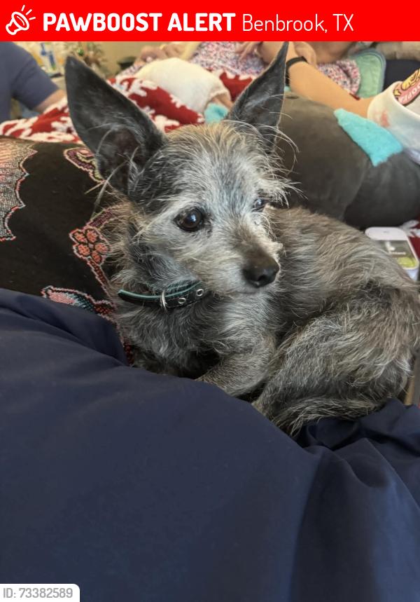 Lost Male Dog last seen Benbrook terrace and Vernon Castle road, Benbrook, TX 76126
