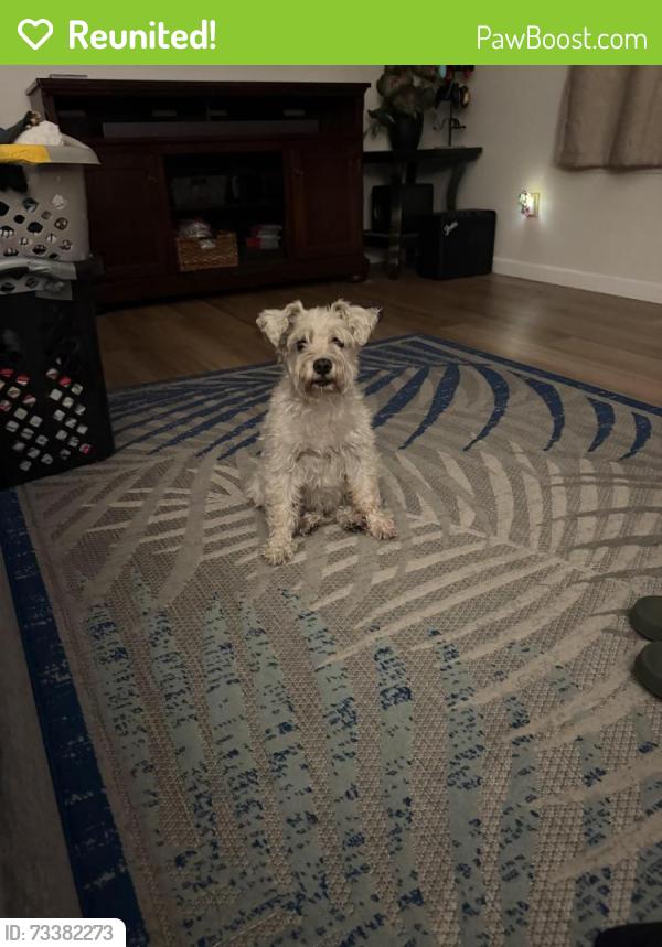 Reunited Female Dog last seen Kingsmill Way, Citrus Heights, CA 95662