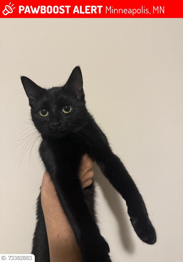 Lost Female Cat last seen 42nd ave, Minneapolis, MN 55412