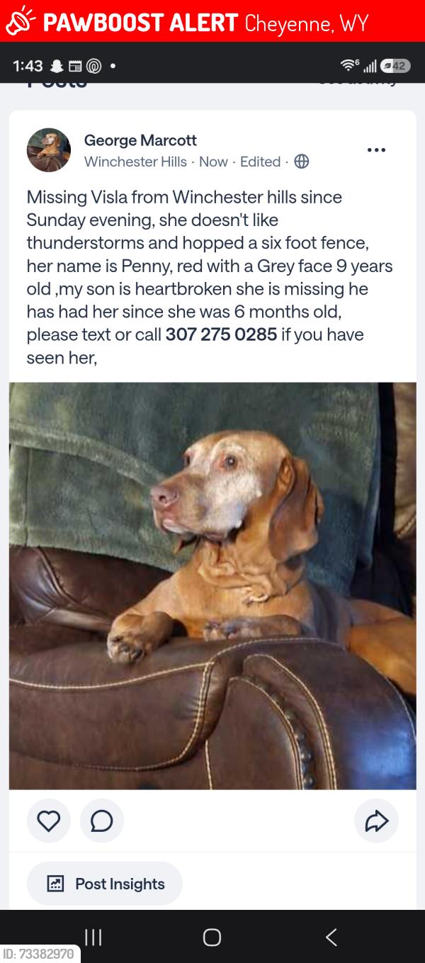 Lost Female Dog last seen Hartford, Beverly, Ashford, Cheyenne, WY 82007