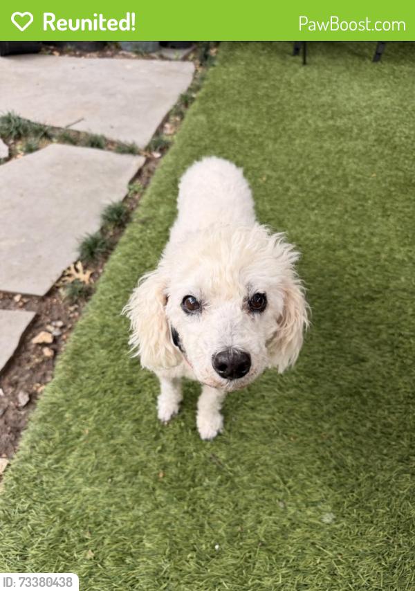 Reunited Female Dog last seen Near S Country Club Rd, Garland, TX 75043, Garland, TX 75043