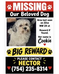 Lost Female Dog last seen Near st, Miami-Dade County, FL 33142