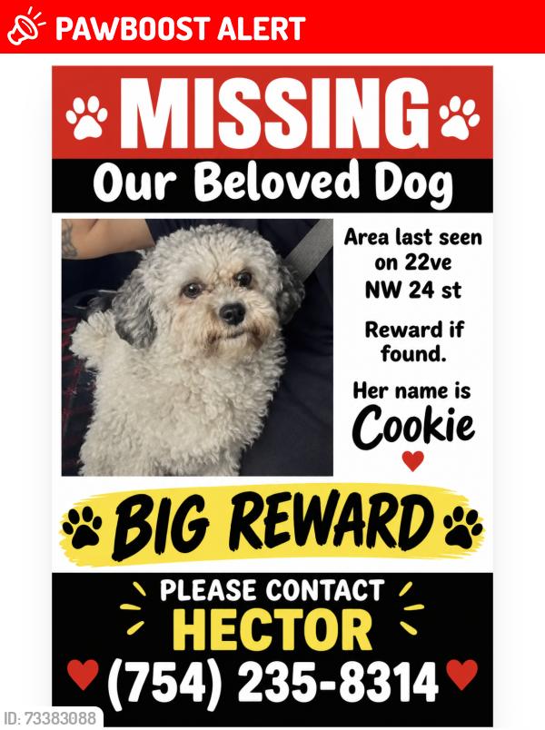 Lost Female Dog last seen Near st, Miami-Dade County, FL 33142