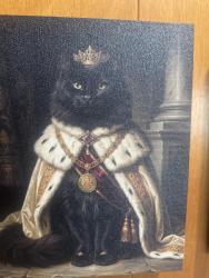 Lost Male Cat last seen I10 woods before lobdell, West Baton Rouge Parish, LA 70767