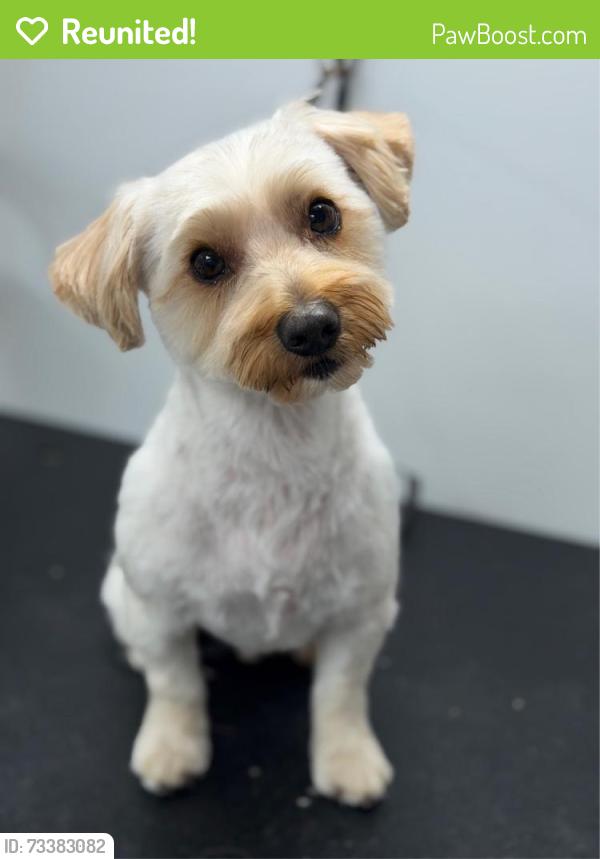 Reunited Male Dog last seen Near Switchwood Ln, Fort Worth, TX 76123, USA, Fort Worth, TX 76123