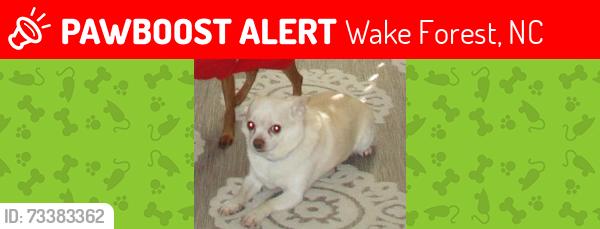 Lost Male Dog last seen Near Polanski Dr., Wake Forest, NC, Wake Forest, NC 27587