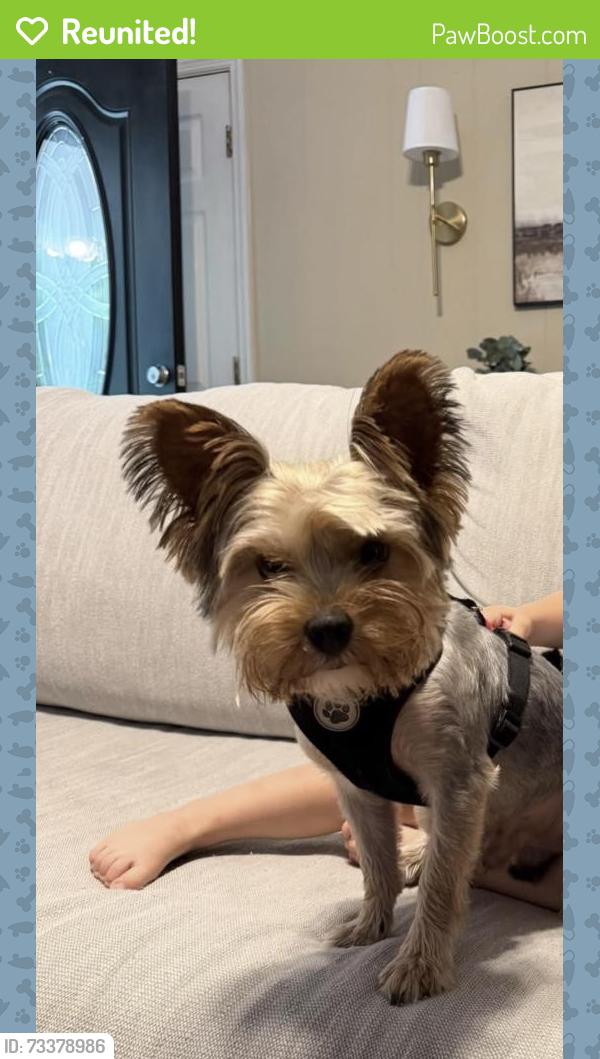 Reunited Male Dog last seen stacks rd by dusty pines ln, Lancaster County, SC 29720