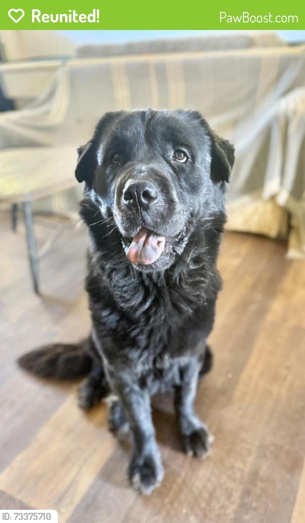 Reunited Male Dog last seen Cole Grade Road & Pauma Vista Drive, Valley Center, CA 92082