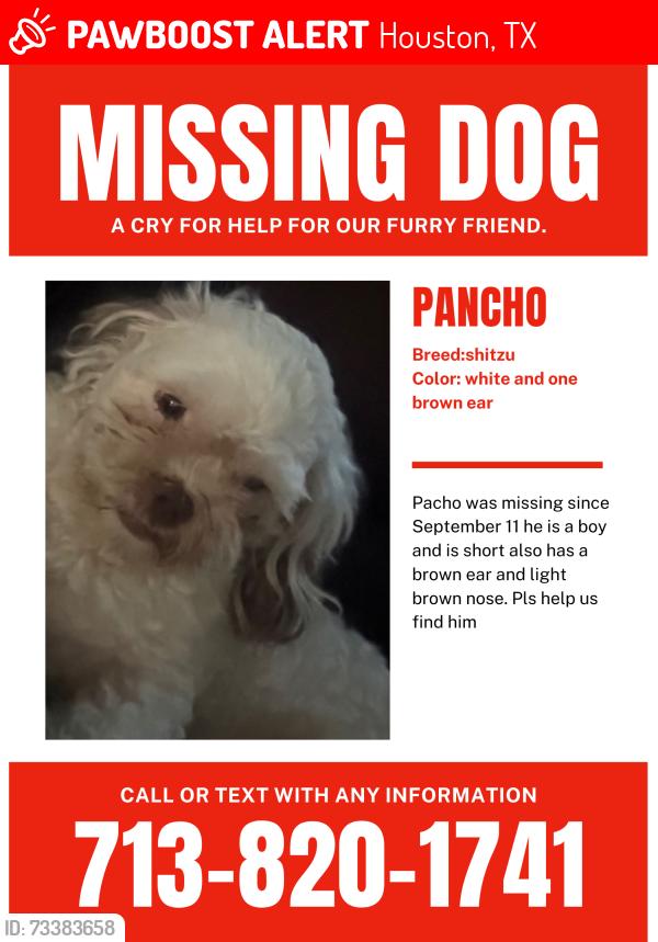 Lost Male Dog last seen Airline y west rd, Houston, TX 77038