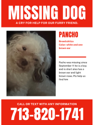 Lost Male Dog last seen Airline y west rd, Houston, TX 77038