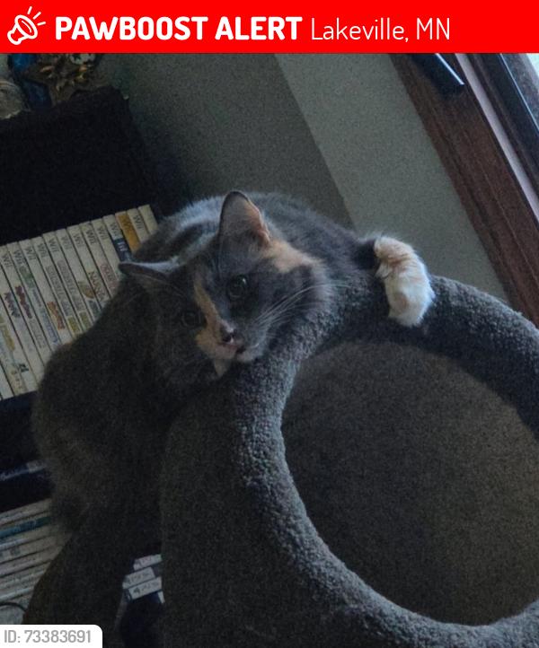Lost Female Cat last seen 166th st w and 165th st w lakeville, Lakeville, MN 55044