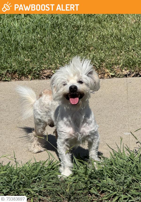Found/Stray Unknown Dog last seen Lost dog roaming on street on Gerhart in between Repetto and Williamson Ave, EAST LA., East Los Angeles, CA 90022