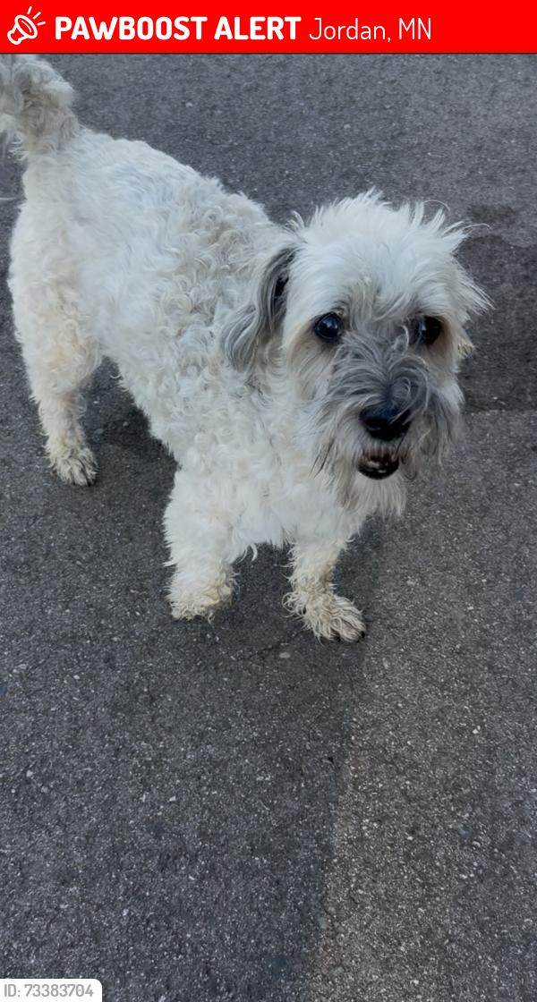 Lost Female Dog last seen Malibu Ave and Fairlawn Ave, Jordan, MN 55352