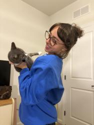 Reunited Female Cat last seen Clarksburg outlets, Clarksburg, MD 20871