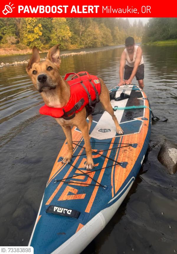 Lost Female Dog last seen by the gun shop near Milwaukie, Milwaukie, OR 97222