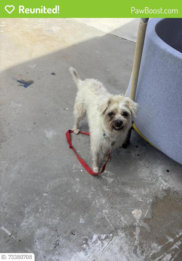 Reunited Female Dog last seen Libra, Riverside, CA 92503