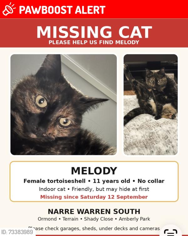 Lost Female Cat last seen Shady close, Terrapin Dr, Amberly Park Dr, Ormond road, Narre Warren South, VIC 3805