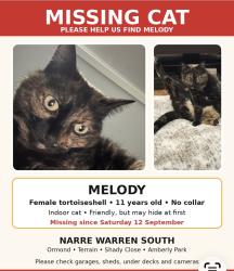 Lost Female Cat last seen Shady close, Terrapin Dr, Amberly Park Dr, Ormond road, Narre Warren South, VIC 3805