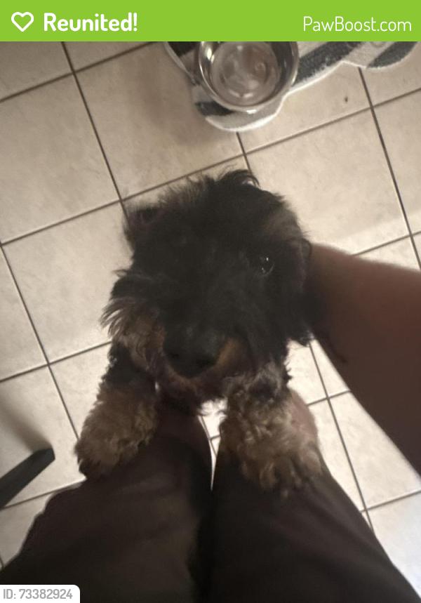 Reunited Male Dog last seen Muddy Branch Road, Clarksville, TN 37043