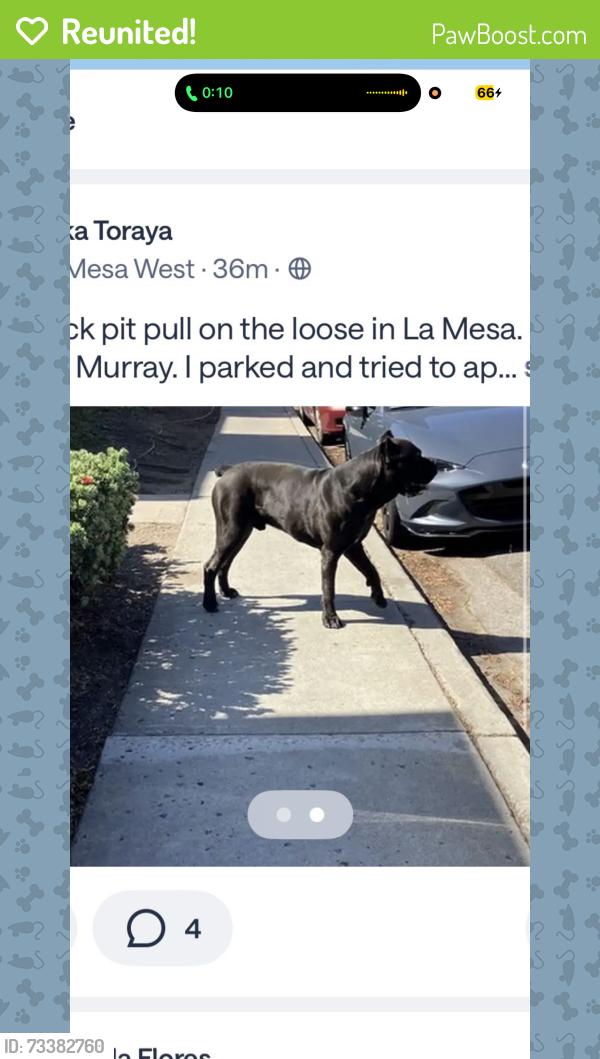 Reunited Male Dog last seen La mesa, La Mesa, CA 91942