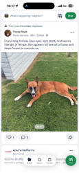 Found/Stray Female Dog last seen Southern and Rural next to Frys, Tempe, AZ 85283
