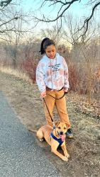 Lost Male Dog last seen Hazelwood street Saint Paul, Saint Paul, MN 55106