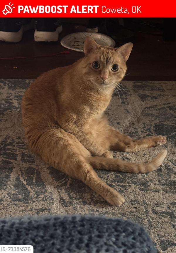 Lost Male Cat last seen E Redwood St & N Fairland Ave behind Scooter’s Coffee and the Bank., Coweta, OK 74429