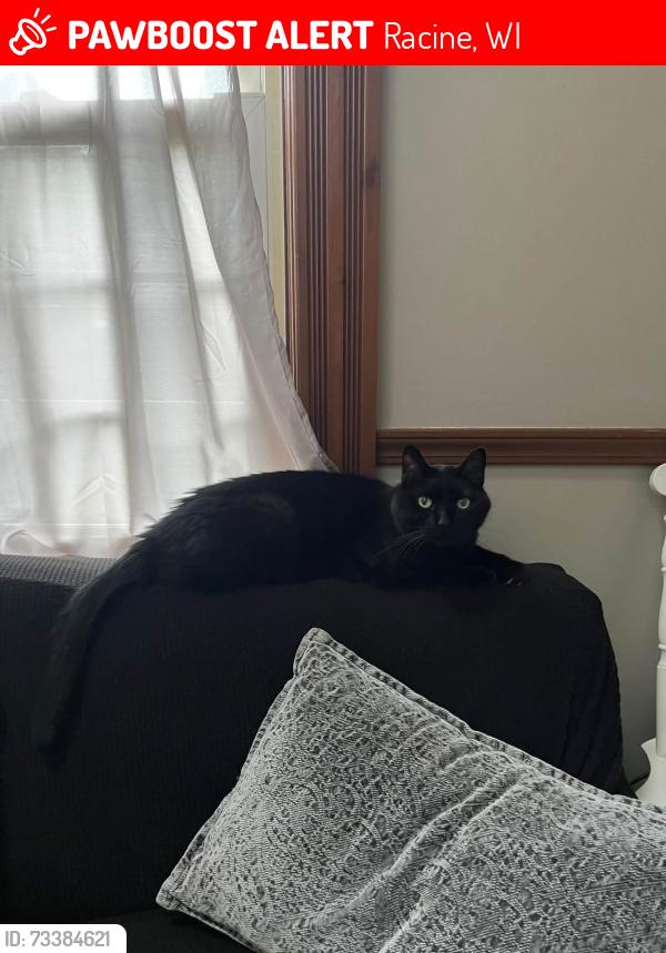 Lost Male Cat last seen Imperial and Manhattan by piggly wiggly, Racine, WI 53402