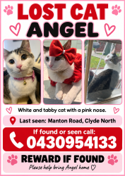 Lost Female Cat last seen Manton road Clyde north, Clyde North, VIC 3978