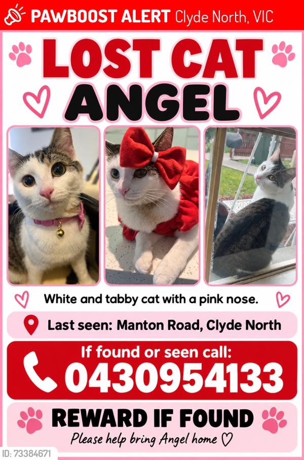 Lost Female Cat last seen Manton road Clyde north, Clyde North, VIC 3978