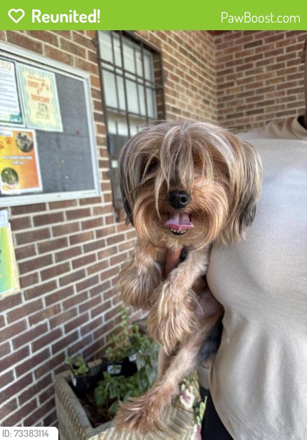 Reunited Female Dog last seen J street, Pensacola, FL 32505