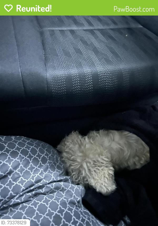 Reunited Unknown Dog last seen Holt, Ontario, CA 91761