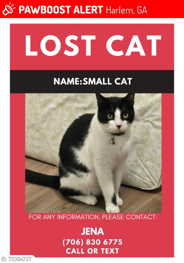 Lost Male Cat last seen old appling harlem rd, Harlem, GA 30814
