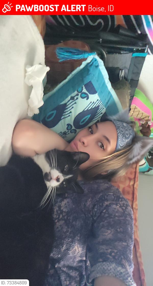 Lost Female Cat last seen My apmt?, Boise, ID 83705