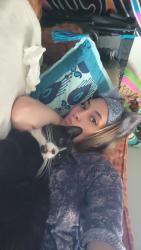 Lost Female Cat last seen My apmt?, Boise, ID 83705