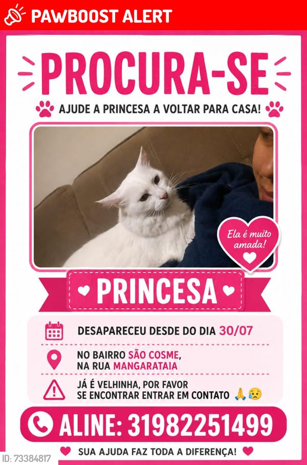Lost Female Cat last seen Rua Mangarataia sao cosme de baixo, São Cosme de Baixo, MG 33130-080