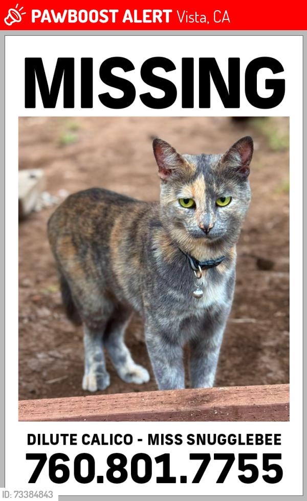 Lost Female Cat last seen Foothill Ave, Vista, CA 92084